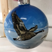 IMG_E1248 (1024x975)