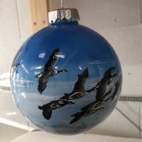 IMG_E1249 (1024x987)